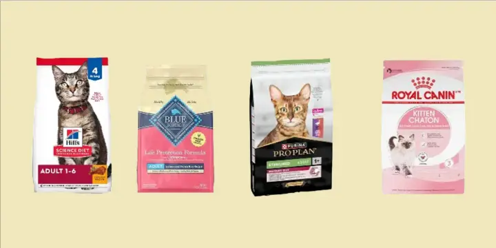 Top Vet-Approved Wet Cat Foods for 2025