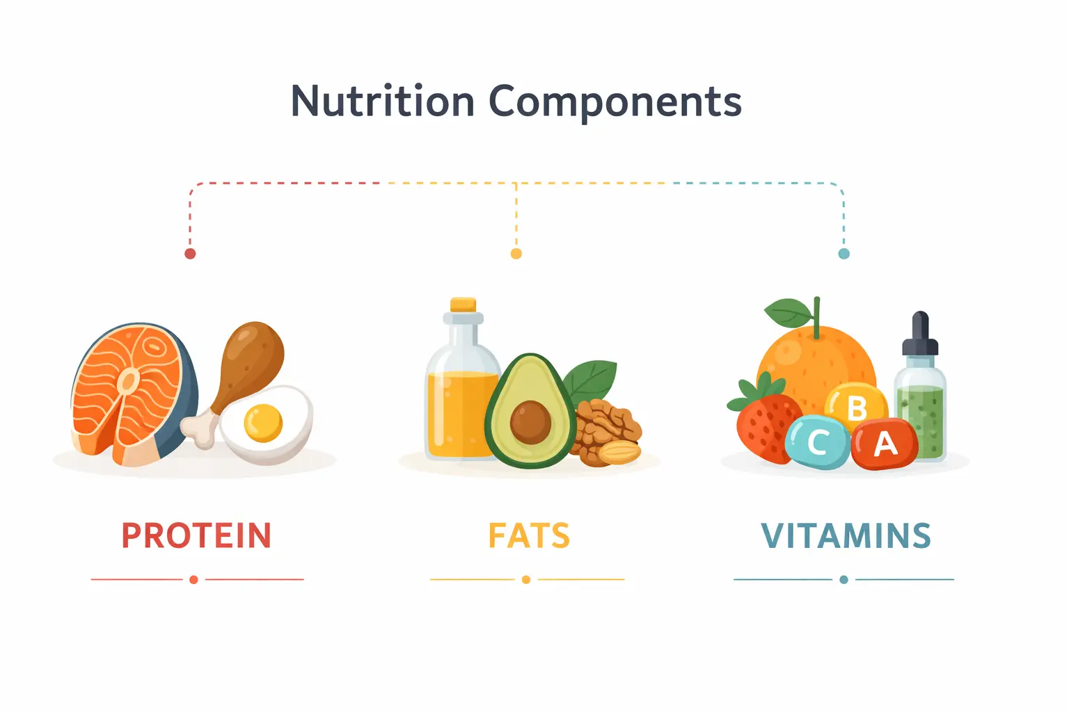 cat nutritional needs protein vitamins minerals